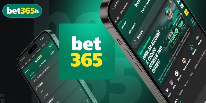 BET365 sở hữu giấy phép hoạt động hợp pháp, có hiệu lực trên toàn cầu